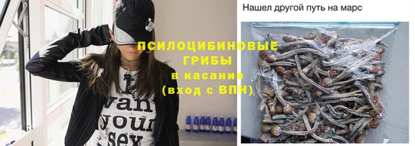 МДПВ Аркадак